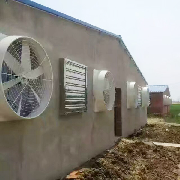 养殖男女羞羞网站